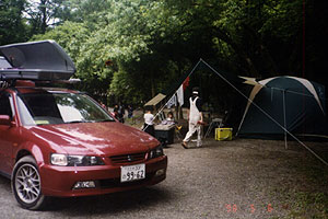 �t�@���^�W�[�̐X