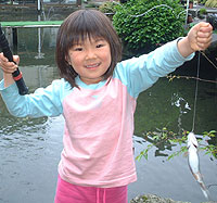 �A�����I