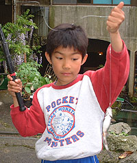 �_�R�X�L�[�����h�̃j�W�}�X