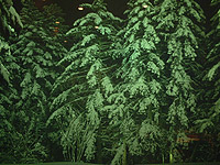 ���̊O�̎��C