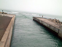 �R���P��