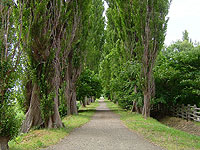 �|�v������