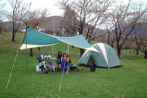 �F�Β����N���s��