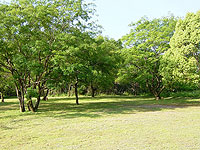 �t���[�T�C�g