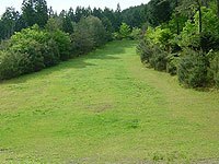 ���X�L�[��