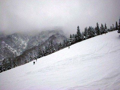 ���C�R�X�L�[��