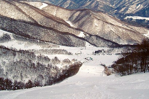 �������_�`�����s�I��A�R�[�X