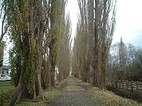 �|�v������